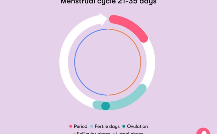 Cycle Syncing: Rahasia Mengatur Jadwal Kerja dan Olahraga Berdasarkan Siklus Hormon untuk Produktivitas Tanpa Burnout
