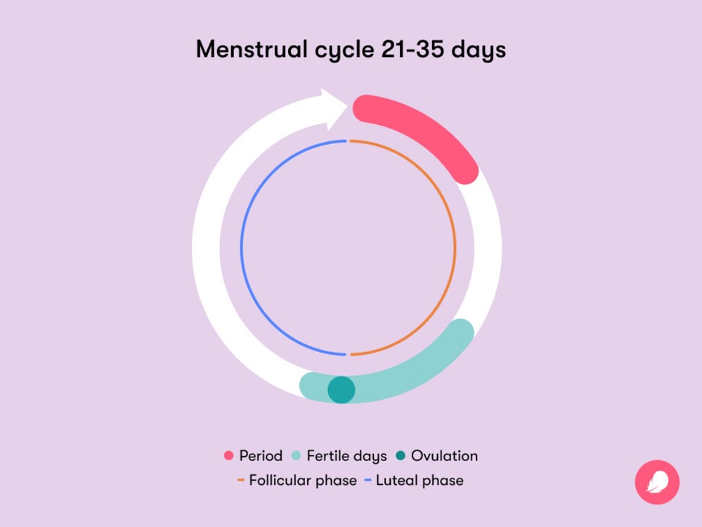 Cycle Syncing: Rahasia Mengatur Jadwal Kerja dan Olahraga Berdasarkan Siklus Hormon untuk Produktivitas Tanpa Burnout